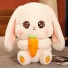 Cute Kawaii Rabbit with Carrot